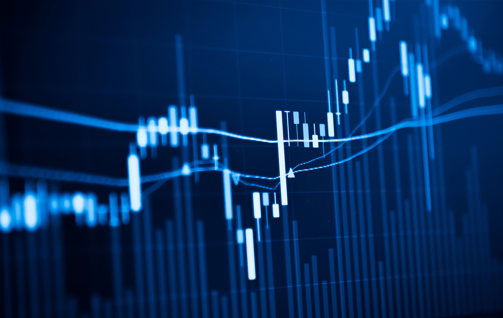 Investor Information