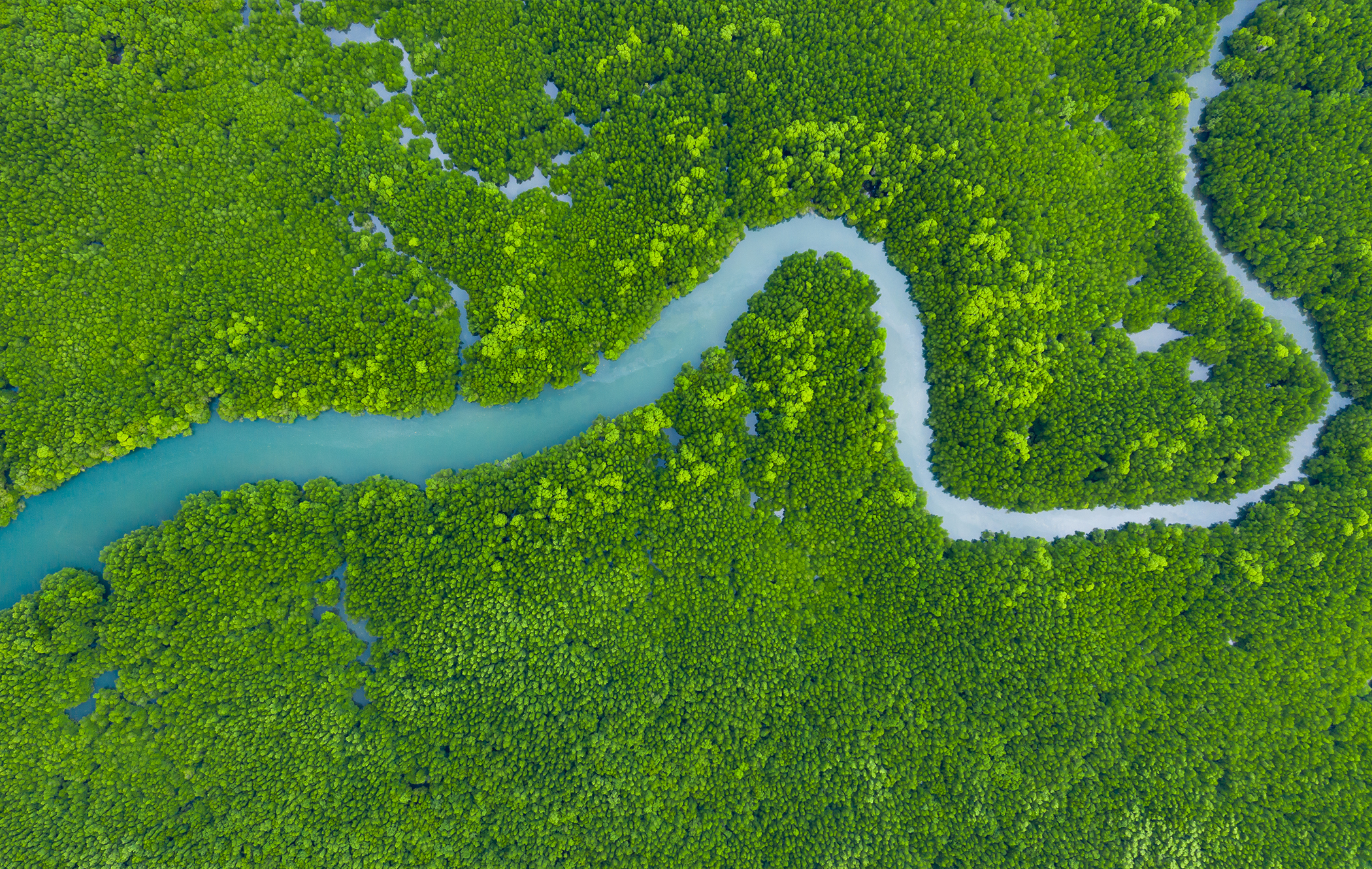 Managing biodiversity